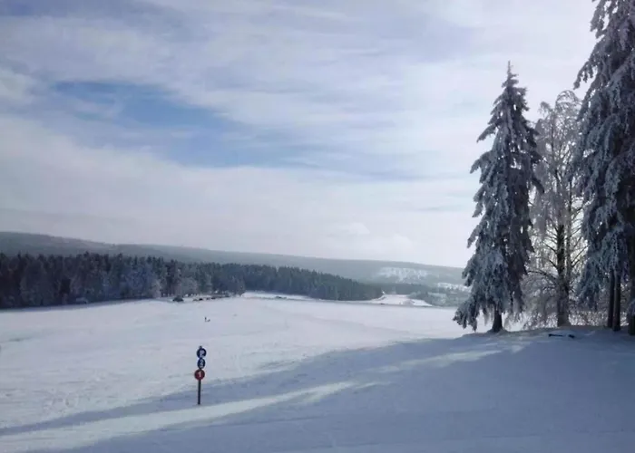 Cozy In With Ski-storage * Veysonnaz