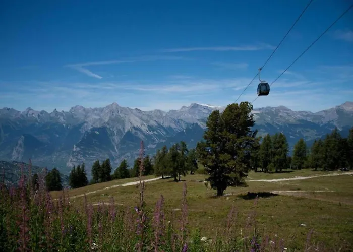Appartement Cozy In With Ski-storage