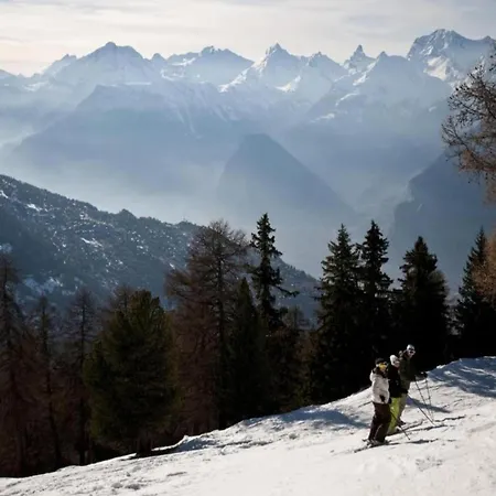 Daire Cozy In With Ski-storage